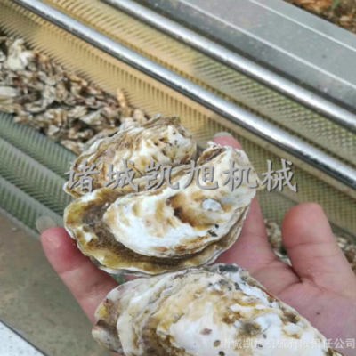 海蠣子清洗機 軟刷頭硬毛刷海鮮清洗設(shè)備 毛刷毛輥清洗脫皮機
