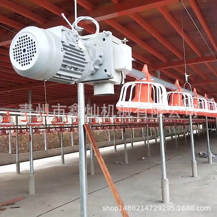 自動料線 雞舍養雞自動料線 肉雞平養料盤式供料系統 養殖設備