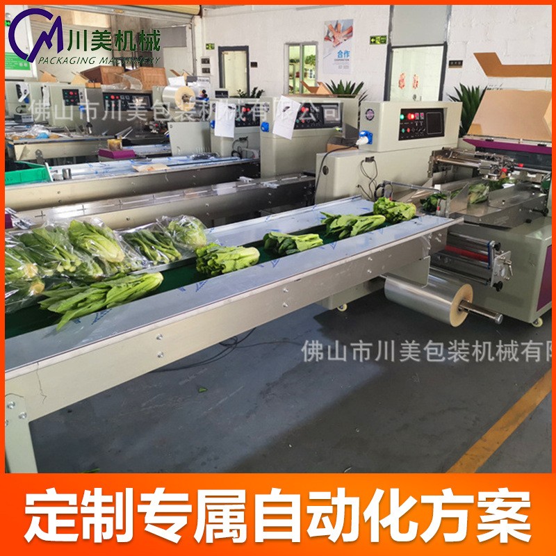 全自動青菜包裝機(jī)水果蔬菜封口打包機(jī)蓮藕玉米自動套袋枕式包裝機(jī)