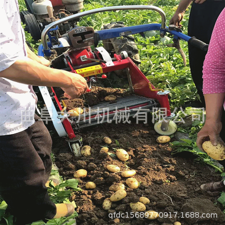 紅薯收獲機(jī)閃圖05