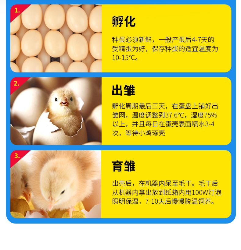 阿里詳情加_01