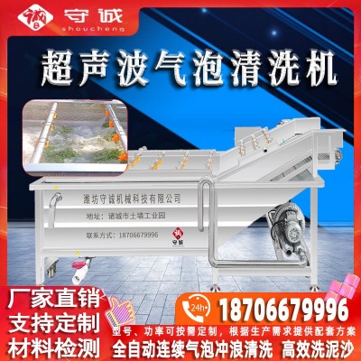 全自動蔬菜清洗機 不銹鋼黃瓜榨菜加工生產線設備 辣椒氣泡清洗機