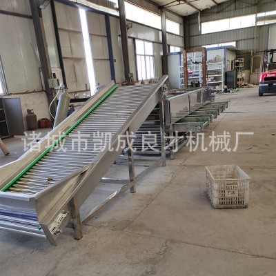 滾杠式選果機 良才牌地黃分級機 白芍分級機 果蔬加工設備