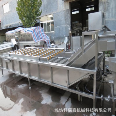 香菇木耳氣泡清洗機(jī)蘋果橘子果蔬清洗機(jī)清洗解凍冷卻線