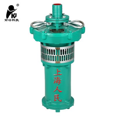 油浸泵油浸式潛水電泵大流量高揚(yáng)程潛水泵工地水泵廠家直銷