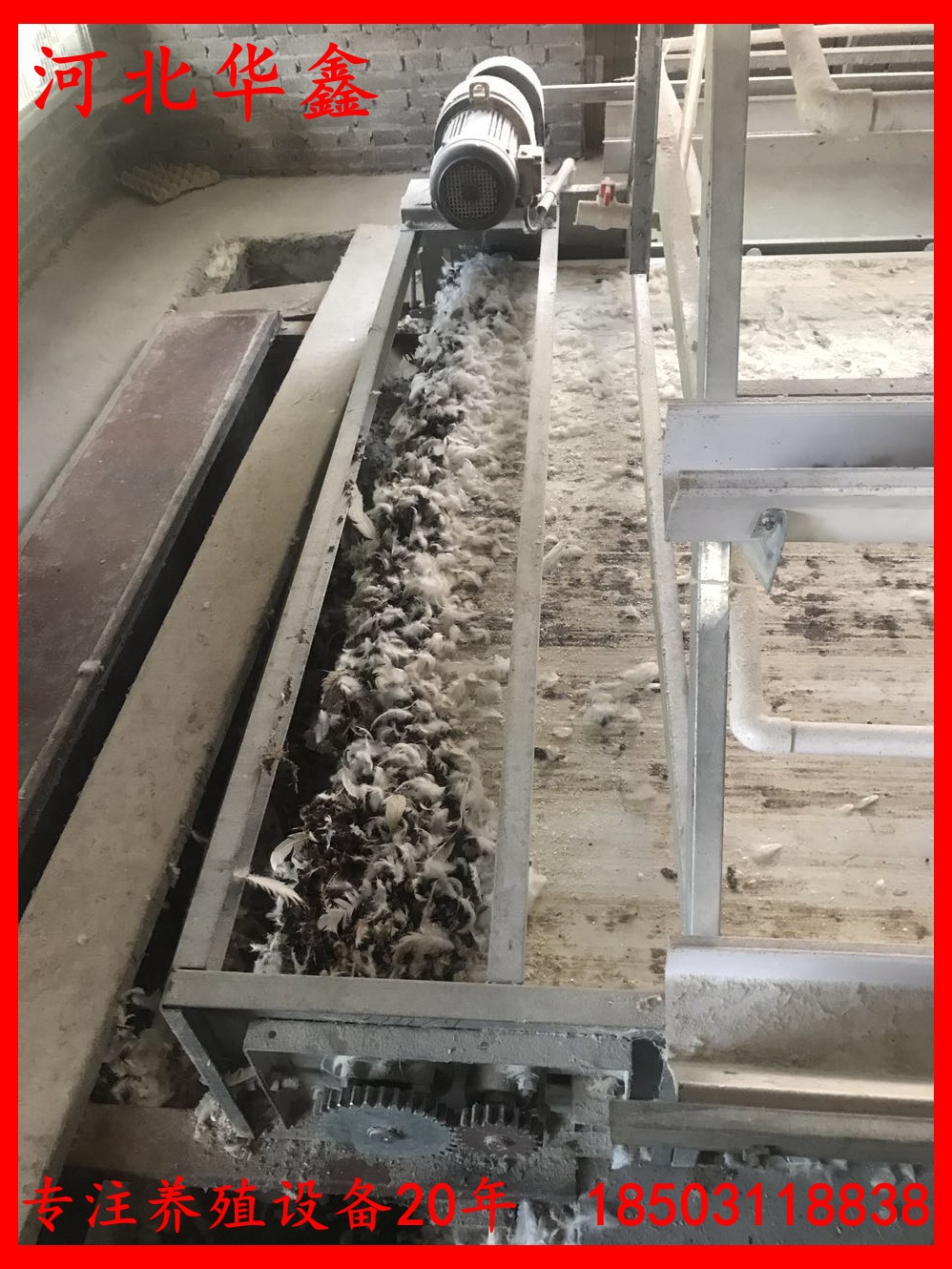 寰俊鍥劇墖_2017082616100511