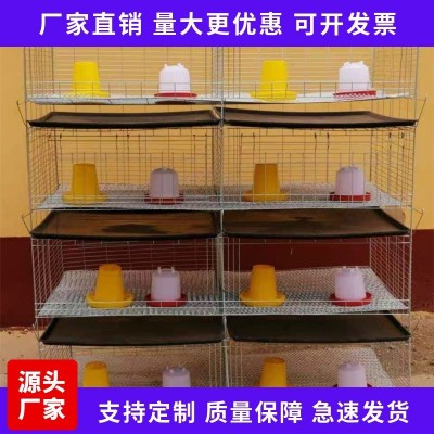 廠家現貨供應 H型加粗加密小雞籠 階梯式自動化養殖設備