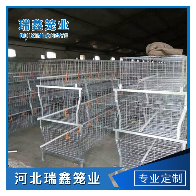 廠家生產供應 單層皮帶立式熱鍍鋅元寶肉雞籠全自動養殖設備