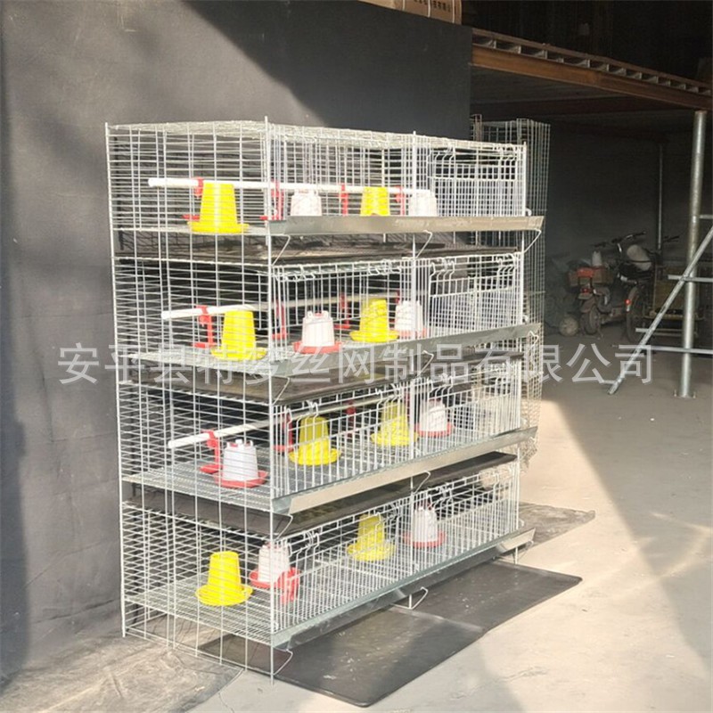 雛雞籠 加粗加密彈簧門育雛籠 養殖小雞籠 四層8門立式小雞籠