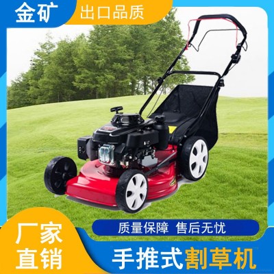 果園牧場草場莊園草坪機 綠化自走式高草割草機 手推剪草機