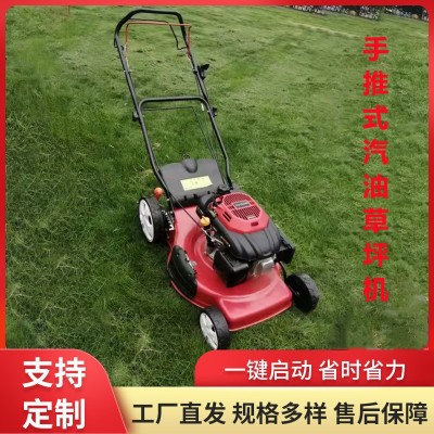 現貨汽油草坪機 自走手推式公園草地除草機 物業小區用手推割草機