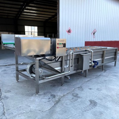 果蔬氣泡清洗加工設(shè)備 油菜氣泡清洗機 氣泡清洗機 水果蔬菜清洗