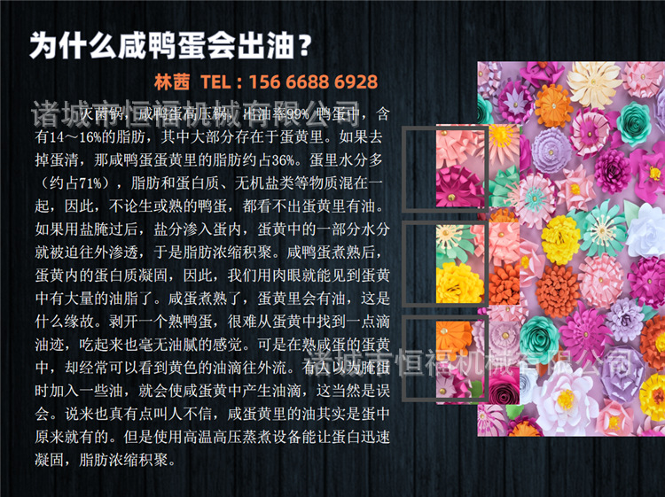 bf7b79c62c4750db893a29388fa572