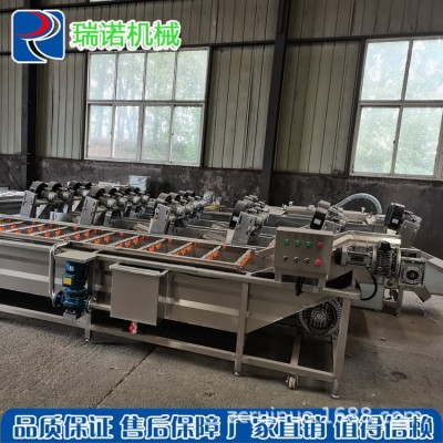 定制氣泡清洗流水線 全自動氣泡噴淋式果蔬清洗機(jī) 凈菜加工設(shè)備