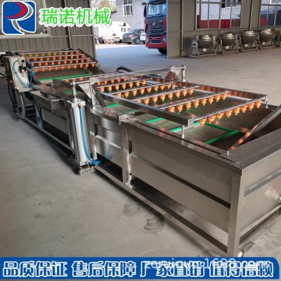 瑞諾生產(chǎn)全自動海產(chǎn)品噴淋式配套清洗流水線 果蔬氣泡清洗機(jī)