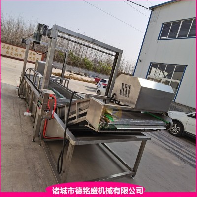 冬瓜絲清洗流水線 噴淋式土豆片漂燙清洗設(shè)備 紅薯片氣泡清洗機(jī)