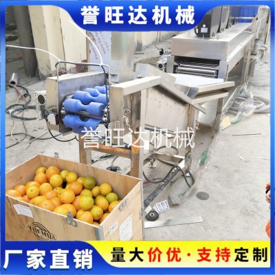 節水型果蔬汽泡清洗機 汽泡橙子清洗機 四川椪柑循環水毛刷清洗機