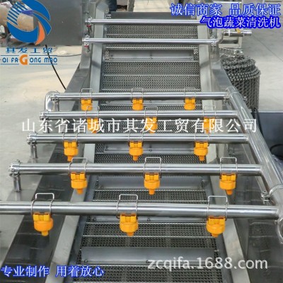 諸城市其發(fā)工貿(mào)供應(yīng)氣泡翻浪清洗機 葉菜類蔬菜清洗機 瓜果清洗