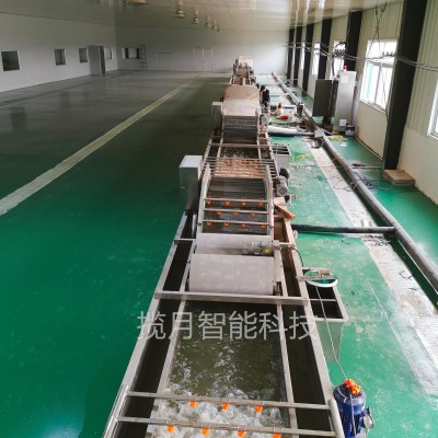 多功能臭氧去農(nóng)殘洗菜機(jī) 預(yù)制菜加工設(shè)備 果蔬清洗機(jī)