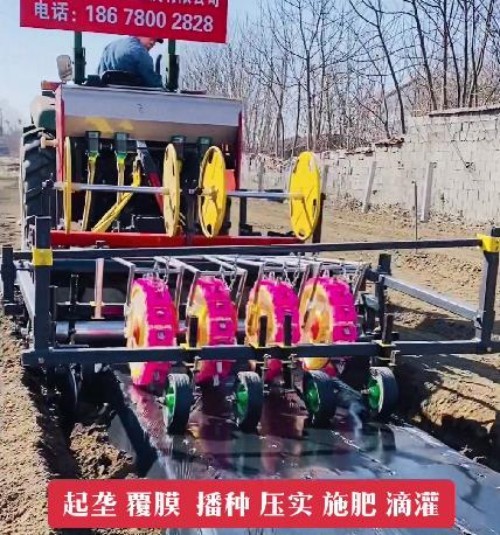 東樂制造多功能蔬菜移栽機 紅薯 甘藍 辣椒移栽設備 性能穩定操作簡單