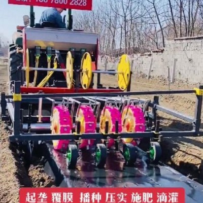 東樂制造多功能蔬菜移栽機(jī) 紅薯 甘藍(lán) 辣椒移栽設(shè)備 性能穩(wěn)定操作簡單