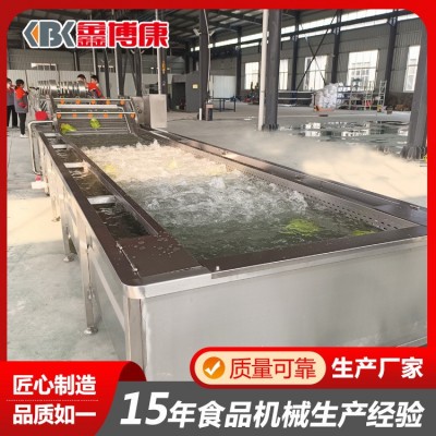 氣泡式果蔬清洗機 葉類蔬菜連續式清洗設備 獼猴桃噴淋水浴洗果機