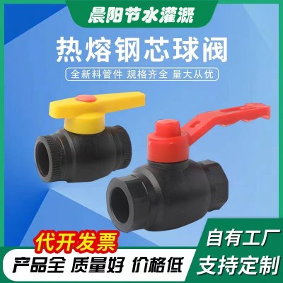 批發熱熔鋼芯大流量球閥 黑色HDPE管熱熔閥門 水管配件熱熔開關