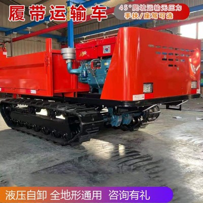 履帶運(yùn)輸車大馬力液壓自卸爬坡王山地叢林全地形通用家用履帶車