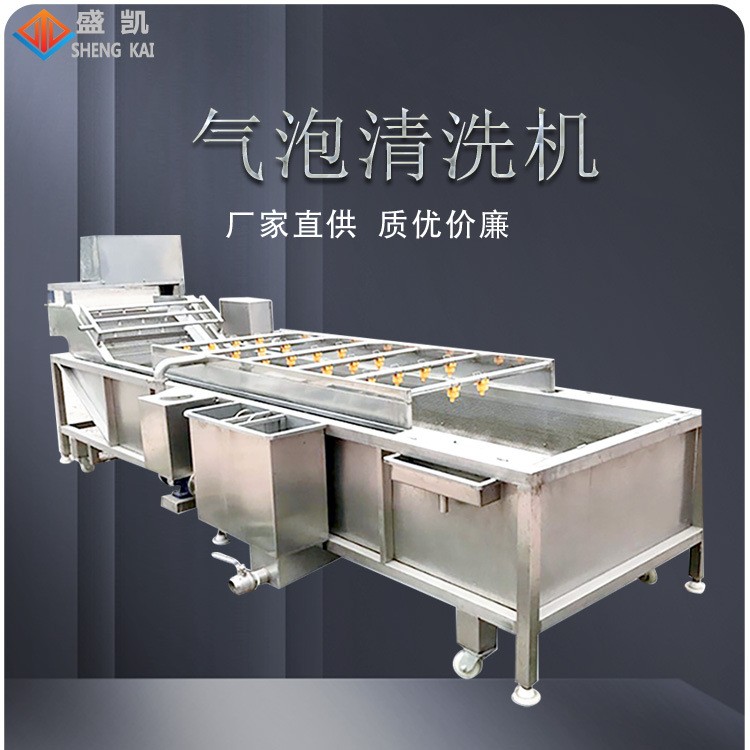廠家定制小型果蔬氣泡清洗機 預制菜中央廚房清洗設(shè)備 中藥清洗機