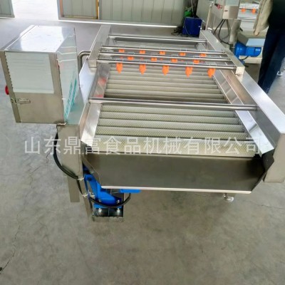 新鮮葉菜類清洗機 大批量蔬菜葉子清洗設備 鼓泡清洗機配高壓噴淋