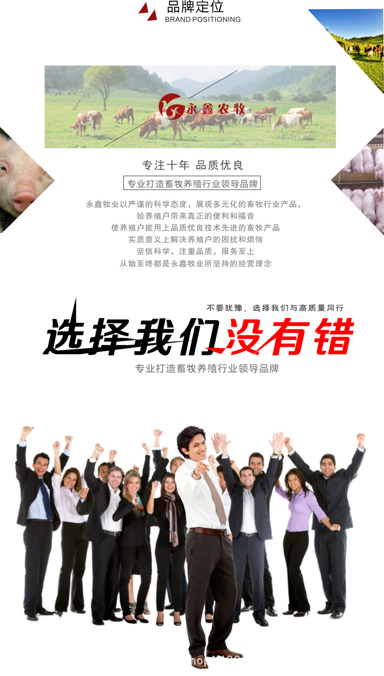 公司簡介3