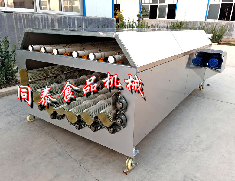 12輥蘿卜清洗機2