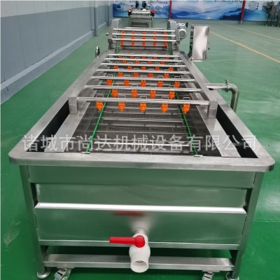 水果類氣泡清洗機(jī) 柑橘橙子大產(chǎn)能氣泡清洗風(fēng)干流水線 氣泡清洗機(jī)