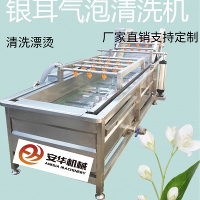 全自動果蔬氣泡清洗機(jī)藍(lán)莓圣女果銀耳毛豆清洗機(jī)臭氧果蔬消毒設(shè)備