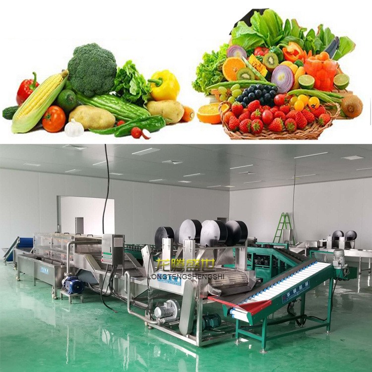 廠家定做生產(chǎn)各種水果清洗線蘋果清洗風(fēng)干分選流水線自動(dòng)化