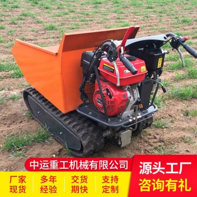 全新自卸履帶運輸車供應 暢銷自卸履帶運輸車廠家 自卸履帶運輸車