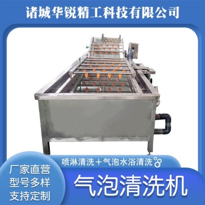 小型氣泡清洗機 果蔬氣泡清洗機 果蔬高壓噴淋清洗設備油菜清洗機