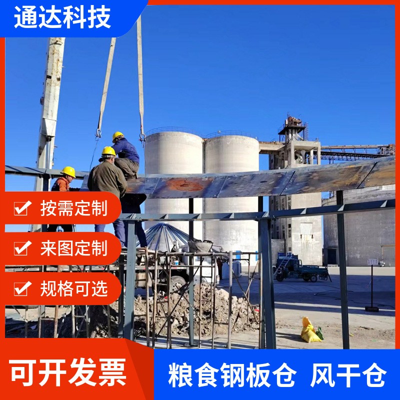 廠家定制各種噸位玉米小麥儲(chǔ)存設(shè)備鋼板倉(cāng)防潮風(fēng)干倉(cāng)可支持批發(fā)