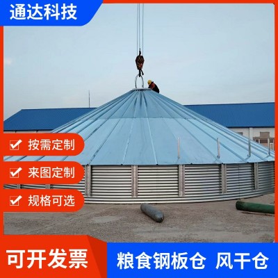 供應(yīng)糧食儲(chǔ)存鋼板倉玉米小麥糧食倉儲(chǔ)存室外風(fēng)干糧倉糧食儲(chǔ)存設(shè)