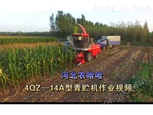 河北農(nóng)哈哈4QZ-18A青飼料收獲機(jī)-作業(yè)視頻