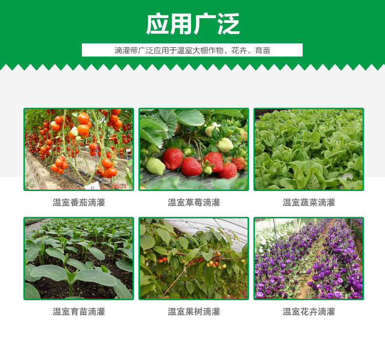 雙孔滴灌帶_09