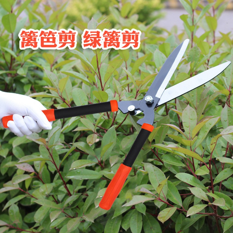 園林專用綠籬剪園藝大剪刀強力修剪樹枝綠化籬笆剪草坪剪園林工具