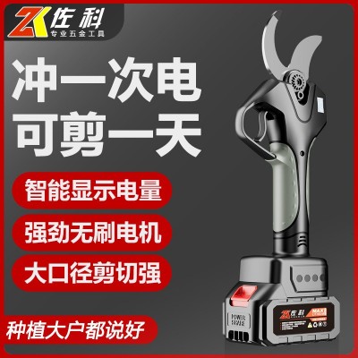 電動(dòng)修枝剪充電式無(wú)線鋰電剪刀園林剪果樹剪樹枝剪電剪 刀源頭直供