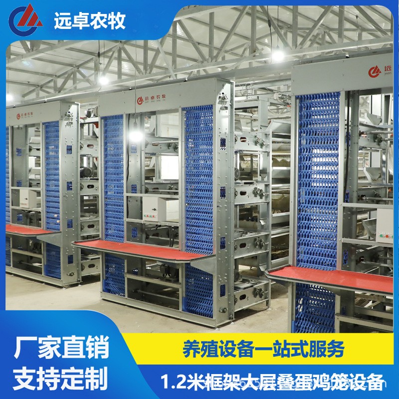 H型蛋鴨籠養(yǎng)殖設(shè)備 全自動(dòng)撿蛋養(yǎng)雞場新疆石河子四層疊立體蛋雞籠