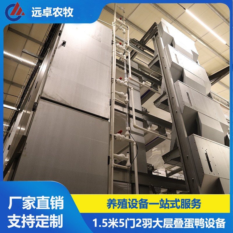 大層疊五列八層籠養(yǎng)鴨設(shè)備 江蘇泰州四層H型框架式自動(dòng)化蛋鴨籠養(yǎng)
