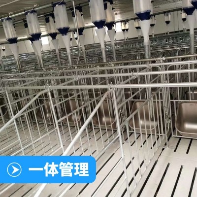 落地式復(fù)合板母豬限位欄 熱鍍鋅加厚保育養(yǎng)殖豬用可定制