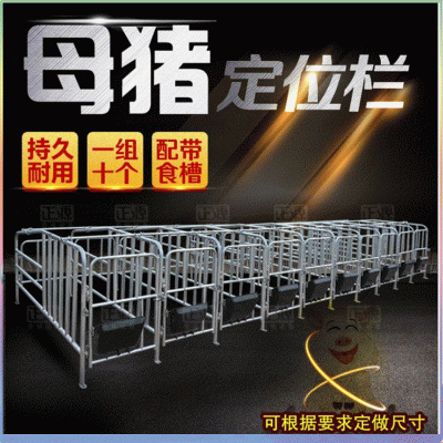 養(yǎng)殖場(chǎng)用 厚熱鍍鋅管大架厚鋼板食槽子落地母豬定位欄限位欄 工廠