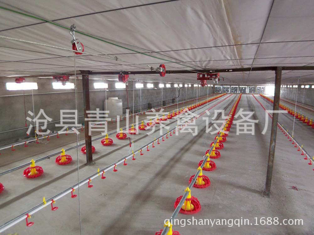 供應(yīng)養(yǎng)雞水線 全自動(dòng)養(yǎng)雞水線 肉雞養(yǎng)殖設(shè)備 平養(yǎng)雞料線 水線