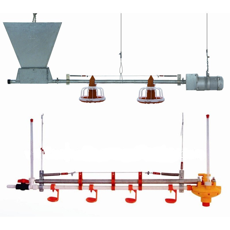 自動料線 雞舍養(yǎng)雞料線 養(yǎng)雞自動料線 肉雞養(yǎng)殖設備 平養(yǎng)雞料線