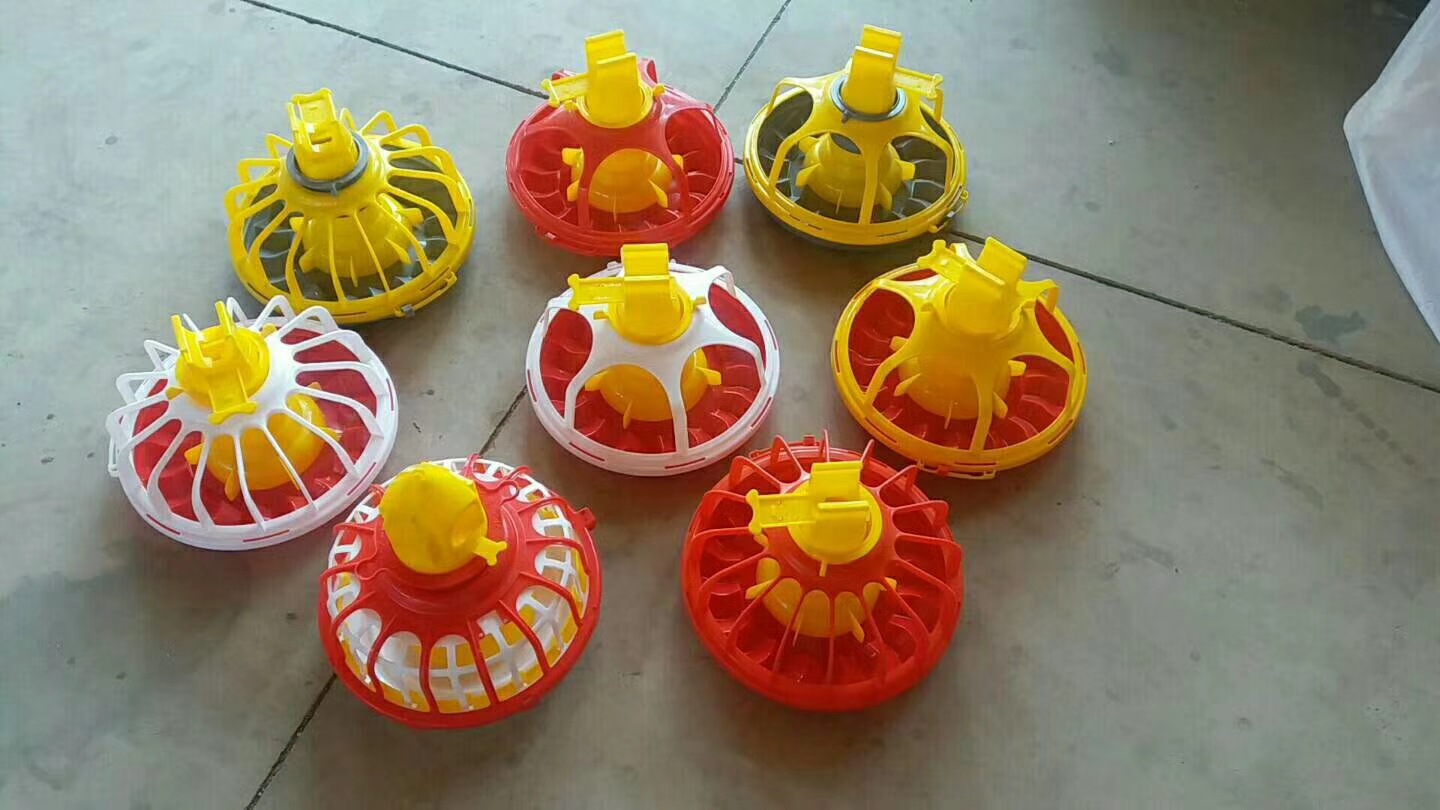 自動料線 雞舍養雞料線 養雞自動料線 肉雞養殖設備 平養雞料線